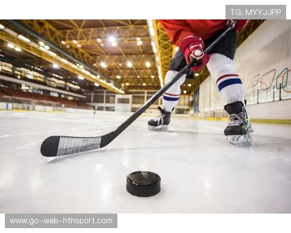 冰球练习场地升级，山东新兴聚乙烯板材助力冬季训练，冰球比赛用球材料